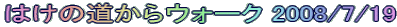 はけの道からウォーク 2008/7/19