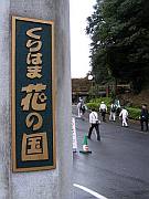 くりはま花の国
