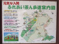 茶ん歩道