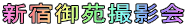�V�h�䉑�B�e�� 